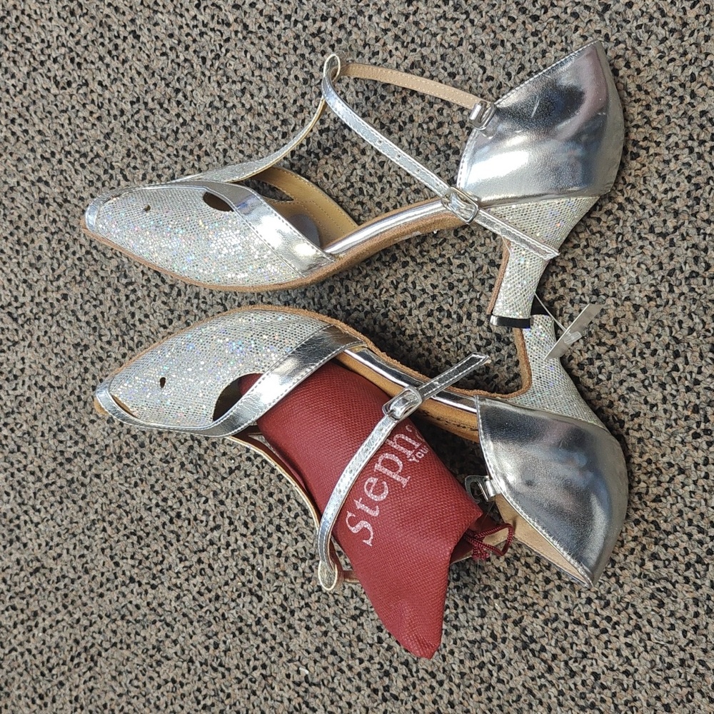 Flamingo dance shoes silver glitter